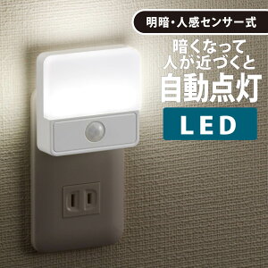 LEDÐlZT[iCgCg pbNIT-ALA6JSQ-WN 06-0148 I[d@