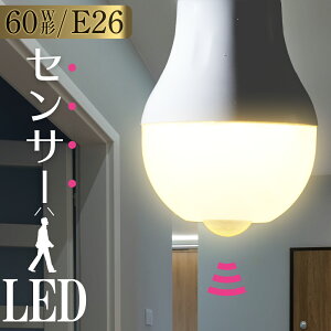 LEDd E26 60` lZT[t dF_LDA8L-H R21 06-3593 I[d@