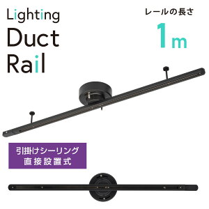 CeBO_Ng[ |V[Oڐݒu 1m ubNbORL-C100AK 06-5016 I[d@