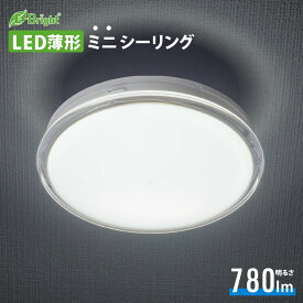 LED薄形ミニシーリングライト 60形 780ルーメン 昼光色｜LE-Y7DK-WS 06-3952 オーム電機