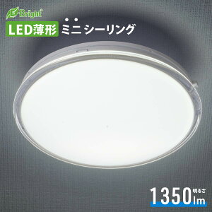 LED`~jV[OCg 100` 1350[ FbLE-Y13DK-WS 06-3954 I[d@