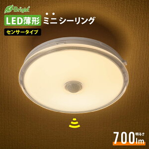 V[OCg ZT[ LED ^ RpNg ~j ^ 60W ÃZT[ lZT[ gC  Eߏ ʏ 700[ dFbLE-Y8LK-WS R 06-3957 I[d@