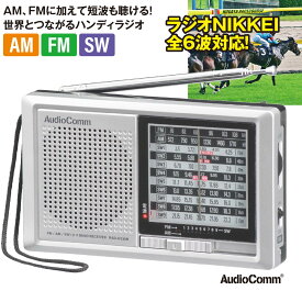 ラジオ 短波ラジオ ラジオ日経 ハンディラジオ AM/FM/SW1-9 ワイドFM AudioComm｜RAD-H330N 03-5570 オーム電機