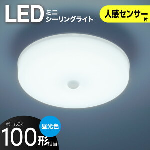 V[OCg LED ^ lZT[ 100` 1650[ F ~jV[O  gC ʏbLE-Y13RB-WD 06-5065 I[d@