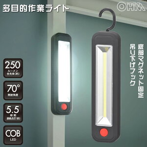 Ɠ ړIƃCg LED COBCg 250[ }Olbg tbNt dr FbSL-W300R6C 08-0876 I[d@