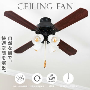 V[Ot@Cg V[OCg V[Ot@ 4 LEDd dʔ t] xؑ  ؖڒ  NVbN Ebh rO Cz E26 ЂtbLT