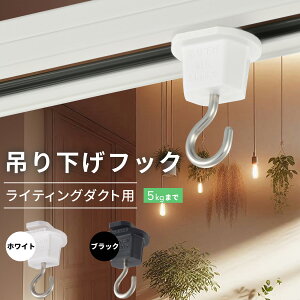 ݂艺tbN CeBO_Ngp zCgbORL-5HW 06-5029 I[d@