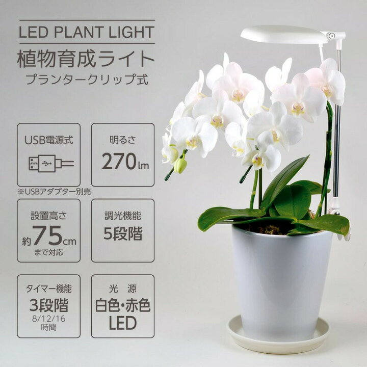 楽天市場】植物育成ライト LED 室内 植物用ライト 日照不足解消 