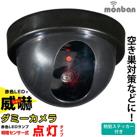 防犯カメラ ダミー ダミーカメラ monban 明暗センサー式点灯 玄関 軒下用 乾電池式 防犯対策｜OSE-PDCW2 07-8696 オーム電機