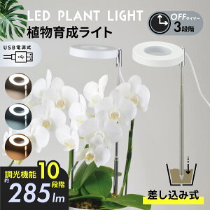 A琬Cg LED  ApCg ƕs ^C}[Ŏ 10iK ϗtA ͔| ݎ USBdbTT-YG02NA2A-W 08-7002 I[d@