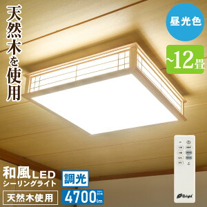 V[OCg a LED Ɩ LEDV[OCg a 10 12 F Rt aV[OCg ledƖ VR aƖ Ɩ VƖ bLE-W50DBK2-K 06-5252 I