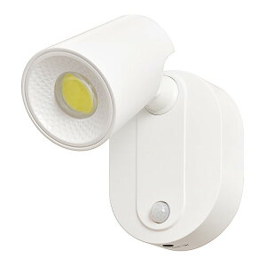 drX|bgiCgCg Á{lZT[t 100[bNIT-BOW10DW-W 06-5256 I[d@