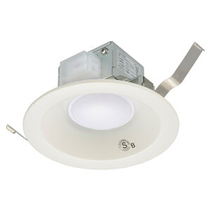 �y�d�C�H���K�v �[�q��ڑ��z �_�E�����C�g LED SB�` ��125mm 100�`�d��1������ �S���� 750���[���� 2700K �d���F���� ������p �V��Ɩ� �Ɩ���� �Ɩ� ���r���O �L���bLT-D1210111-L 06-5131 �I�[��