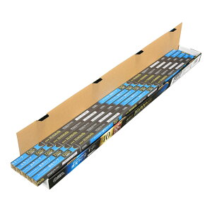 ���ǌu�������v �O���[�X�^�[�^�` 40�` �����F 10�{�Z�b�g�bFL40SS�EEX-D/36 10P 06-5993 �I�[���d�@