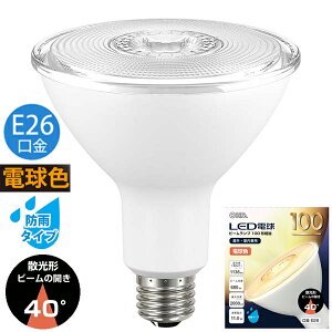 LEDd r[v` U` 100` E26 dF hJ^Cv LDR11L-W 9 06-0281 I[d@