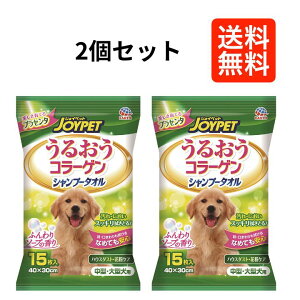 y2Zbgz@WCybg@A[Xybg 邨R[Q Vv[^I ^E^p 15