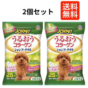 y2Zbgz@WCybg@邨R[Q@Vv[^I@^p@25