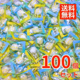 井関食品 熱中飴 業務用 100粒 約500g 塩飴 熱中症対策 塩分補給 レモン 塩 個包装 まとめ買い