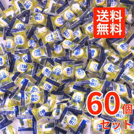【60粒】カバヤ 塩分チャージ タブレッツ スポーツドリンク 大容量 小分け　熱中症対策　塩分補給