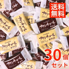 【30個セット】ブルボン ブランチュール チョコレート 爆買 詰め合わせ 個包装 アソート