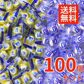【2種100粒】 塩分チャージタブレッツ スポーツドリンク味 inタブレット 塩分プラス レモン味