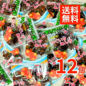 港常 うぐいすあんず 28g×12個　あんず