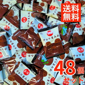 【48枚セット】不二家 チョコまみれ お菓子 個包装 駄菓子 カントリーマアム