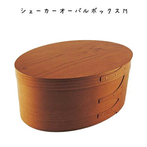 VF[J[I[o{bNXM {bNX 279×s203×108mm `F[ {bNX Vv g IV rO Lb` CeAG fBXvCJtF Xg 