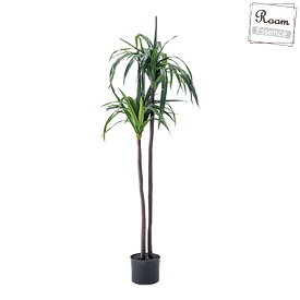 楽天市場 モダン 観葉植物 花 観葉植物 花 ガーデン Diyの通販