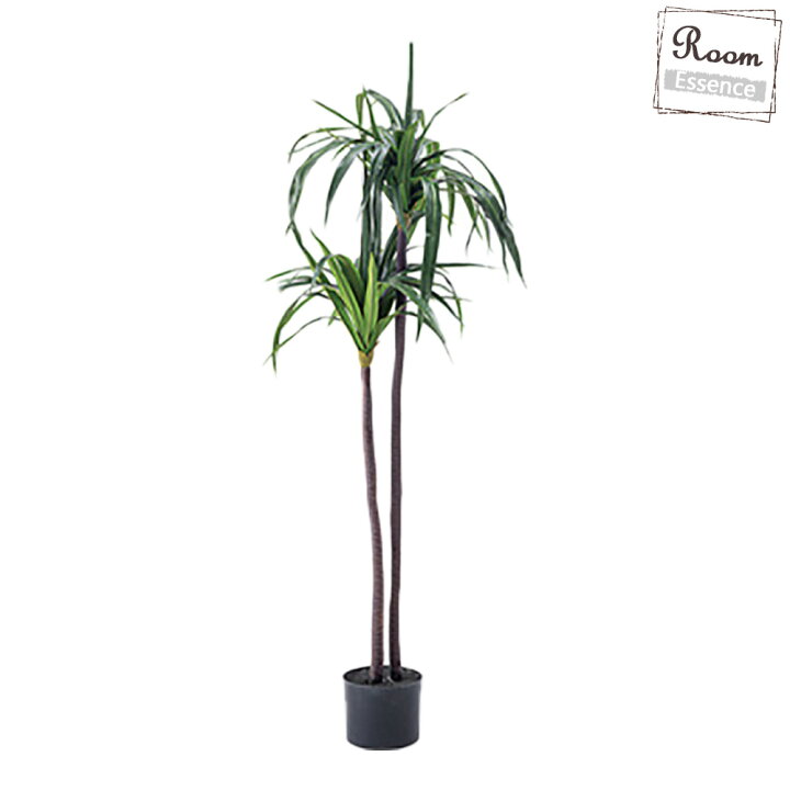 楽天市場 フェイクグリーン ドラセナ 観葉植物 グリーンオブジェ インテリアオブジェ 鉢植え おしゃれ インテリア かわいい ドラセナ 造花 植木 葉っぱ グリーン シンプル モダン かっこいい リゾート風 南国風 店舗 リビング 寝室 ダイニング キッチン 新築 プリズム