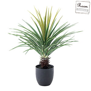 tFCNO[ ~jpCibv ϗtA O[IuWF CeAIuWF A  CeA 킢 ~jpCibv  A t O[ Vv _ 