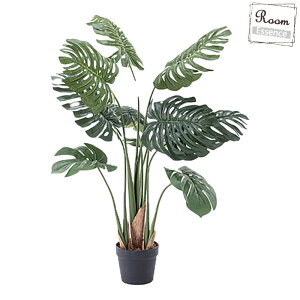 tFCNO[ Xe ϗtA O[IuWF CeAIuWF A  CeA 킢 Xe  A t O[ Vv _  