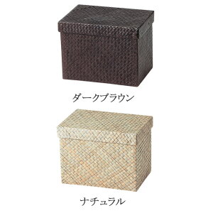  JS  oXPbg X܏Y  [P[X [{bNX [P[X  킢  AWA Vv i` ҂ p_ p^ XNGA [ [^ y 