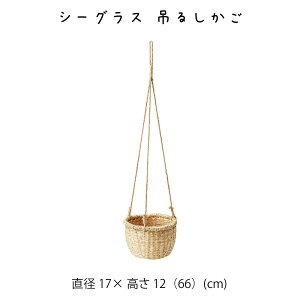 V[OX ݂邵  JS  oXPbg  [P[X [P[X [box  킢  AWA Vv i` ҂ V[OX y y N[[