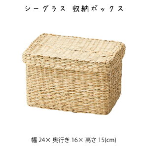 V[OX [{bNX  JS  oXPbg  [P[X [P[X [box  킢  AWA Vv i` ҂ V[OX y y N[