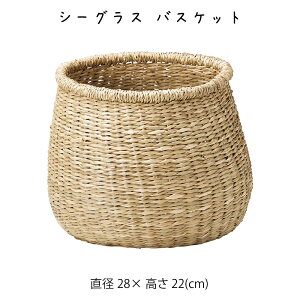 V[OX oXPbg  JS  oXPbg  [P[X [P[X [box  킢  AWA Vv i` ҂ V[OX y y N[[