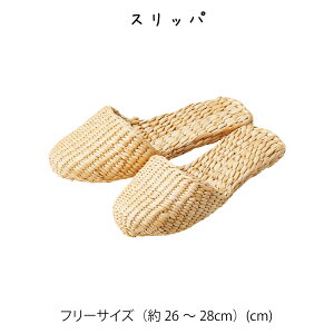 �X���b�p ������� ���킢�� ���� �A�W�A�� �V���v�� �i�`������ �҂� �y�� �y�� �x�[�W�� ���� �� ���̑� �v���Y��