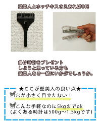 楽天市場 ホッチキスで簡単 穴が目立たない 掛け時計用フック 壁美人 5kg以内 石膏ボード用 壁掛け時計用フック 時計用フック フック 壁面フック ホッチキス 壁掛けフック 穴が小さい 賃貸マンション 賃貸住宅 プリズム