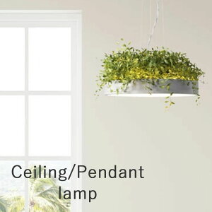 wLED Wm [t V[O y_gvx 8p  F  R [@\ ₷݃^C}[ k _CjO rO V[Ov V[O