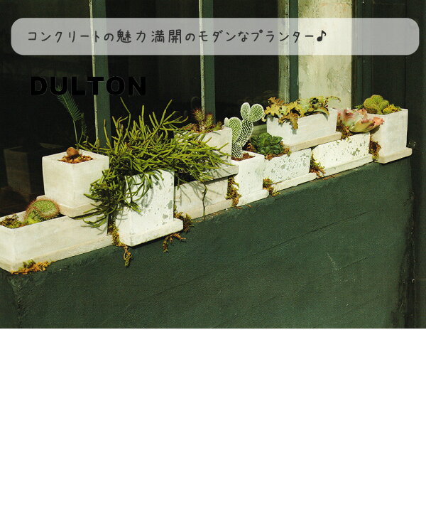 楽天市場】ソリッド プランター レクタングル L SOLID PLANTER RECTANGLE L コンクリートの魅力満開のモダンなプランター pl lfgy 鉢 植木鉢 ガーデニング 植木入れ プランター 水受け付き 受け皿付き コンクリート ベランダ : プリズム 楽天市場】ソリッド プランター レクタングル L SOLID PLANTER RECTANGLE L コンクリートの魅力満開のモダンなプランター pl lfgy 鉢 植木鉢 ガーデニング 植木入れ プランター 水受け付き 受け皿付き コンクリート ベランダ : プリズム