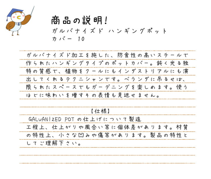 楽天市場 ガルバナイズド ハンギングポットカバー 10 Galvanized Hanging Pot Cover 10 タフでクールなテクニシャン 鉢 植木鉢 ガーデニング 植木入れ ポットカバー プランターカバー フック付き ベランダ ガーデニング用品 菜園 プリズム