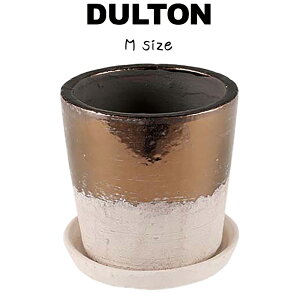 eRb^ oCJ[ |bg M DULTON _g t[|bg Aؔ    ꌊ  \[T[t 󂯎Mt c[g uY ϗtA A nhCh V