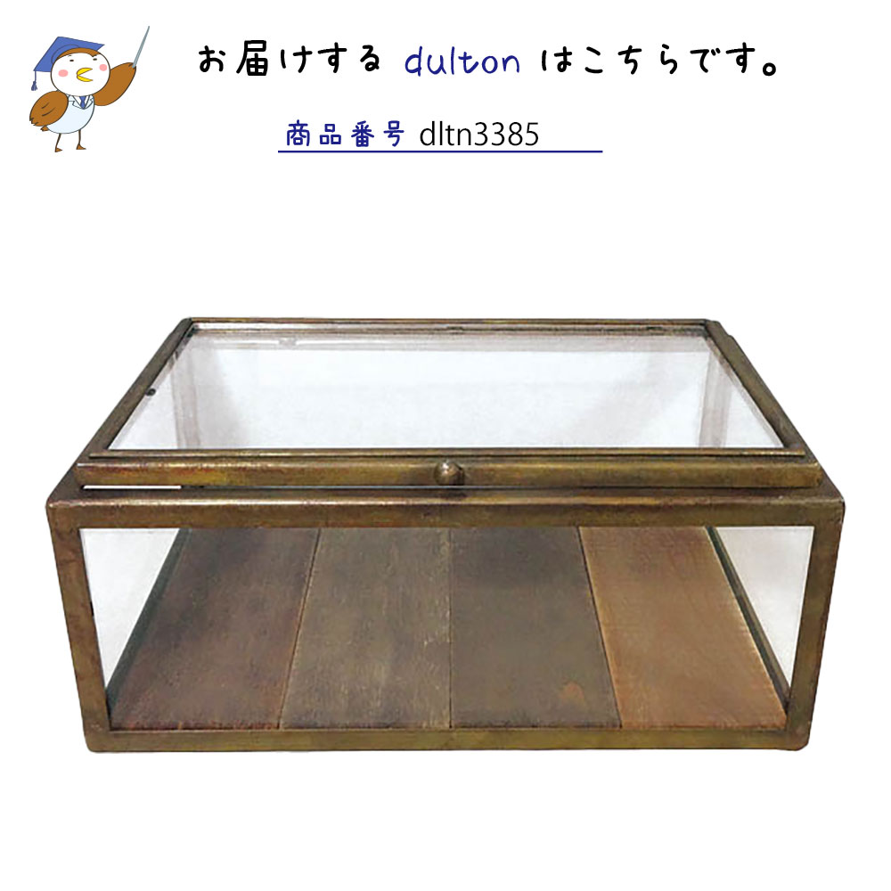 DULTON ダルトン ガラス コレクション ボックス ガラスケース ショーケース コレクションケース コレクションボックス ディスプレイケース  アイアン ガラス おしゃれ シンプル アンティーク ヴィンテージ シャビーシック 収納 ディスプレイ 展示 アクセサリーケース | プリズム