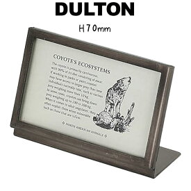 DULTON ダルトン メタル フレーム 7 フォトフレーム フォトスタンド 写真立て メニューボード メニュー立て プライス立て プライススタンド カード立て カードスタンド アートフレーム スチール ガラス おしゃれ アンティーク ヴィンテージ レトロ シャビー ポストカ