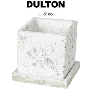 DULTON _g \bh v^[ L[u L Aؔ  A |bg 3.5 RN[g  Vv i`  킢   p lp ` XNGA 󂯎M