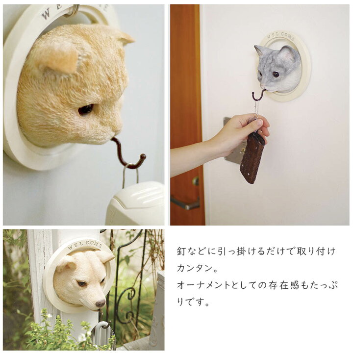 楽天市場】パディ ウォールフック WALL HOOK アニマル ウォールフック 