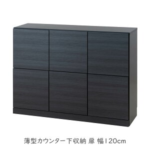X^CbVubN ^JE^[[  120cm [`FXg vbV  Jg[ [Ƌ R[h Ж A4  CeA RpNg l炵 V db [