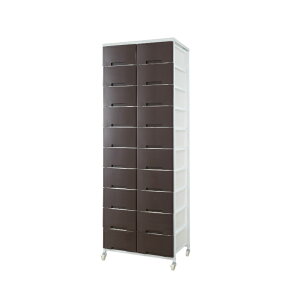 日本製 大量収納プラスチックチェスト 2列×10段 プラスチックチェスト 収納チェスト 衣装ケース 衣類ケース 収納ケース 収納棚 衣類棚 衣類収納 タンス たんす 箪笥 引き出し収納 ランドリ