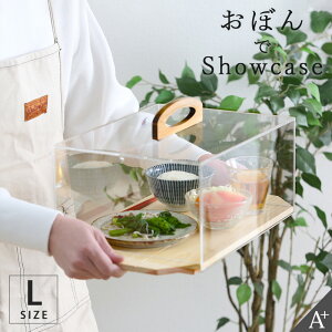 A+ (ANZgvX) ڂŃV[P[X L V[P[X P[LfBXvC َq P[LX^h P[L ubhP[X Hi W ubh Jo[ P[X t[hJo[ X^h fB