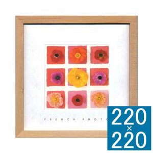 tHgA[gt[ French Photography A[gt[ t[ Ǐ z Ǌ|CeA Ǌ|A[g t[A[g fBXvCt[ CeAt[ ʐ^  